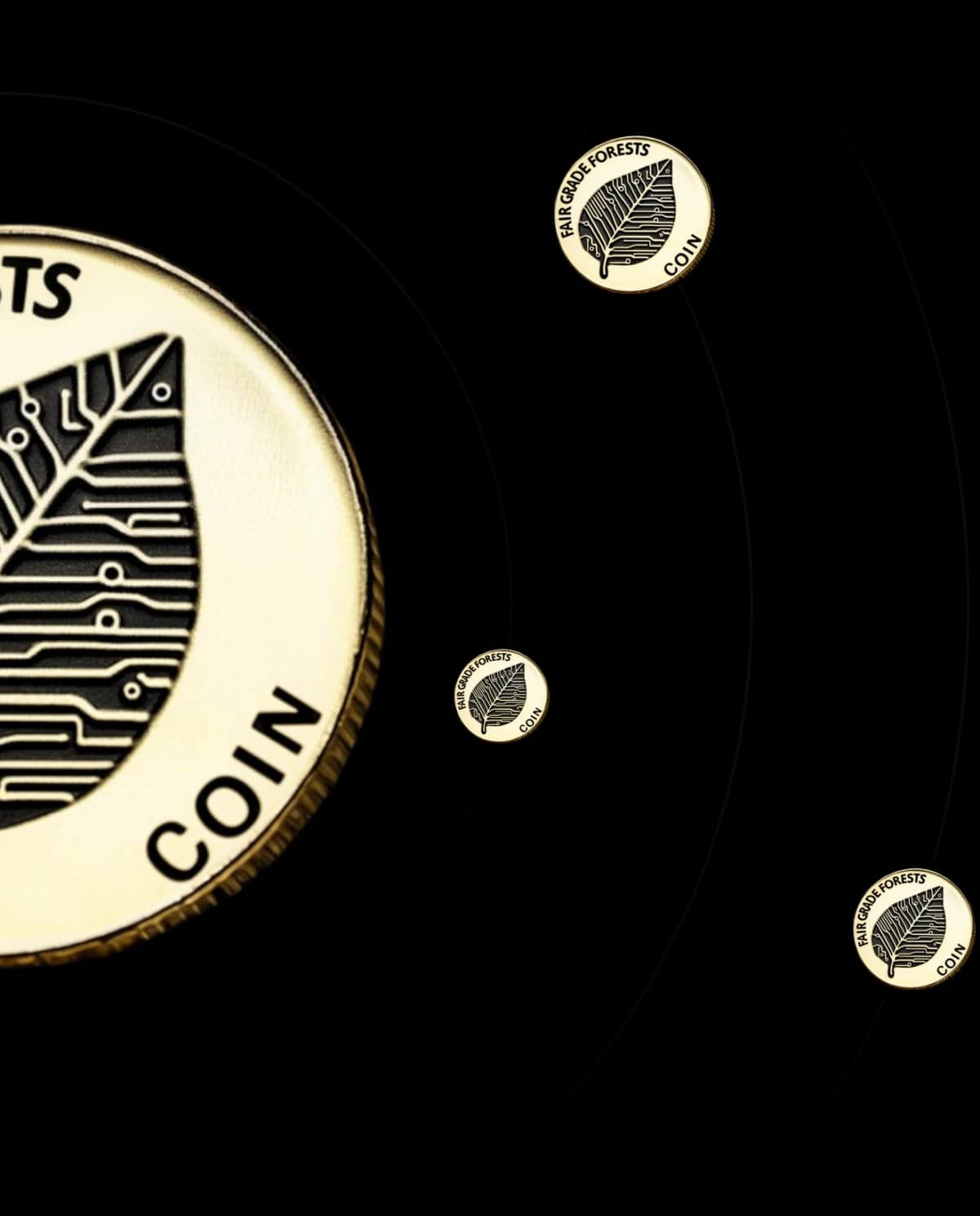 FGF – A Currency for Nature, A Future for All